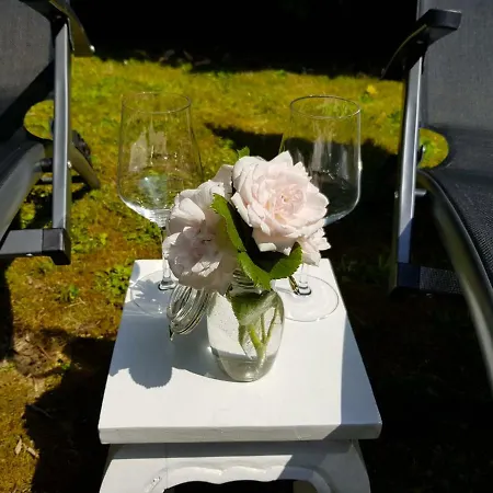 Les Oliviers Gasthof Rolle